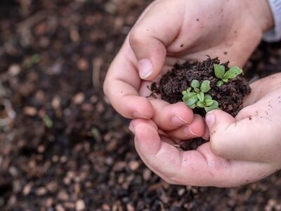 Reerdigung – natürliche Bestattung durch Umwandlung in fruchtbare Muttererde
